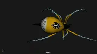 Animación de Araña