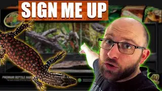 Ackie Monitors In 40 GALLON Tanks?!