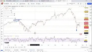 Michael Kramer @Themarketchronicles | US jobs market and rate cuts on the agenda at Jackson Hole