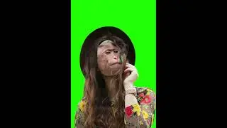 green screen snake video download for kinemaster | Green Screen Snake video