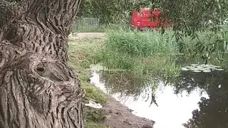 Мозырь. Бобровское Озеро, Возрождение.