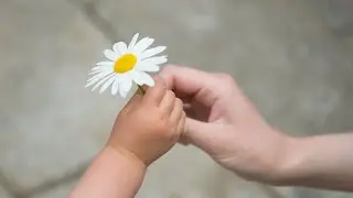 Доброта. Татьяна Дворянова