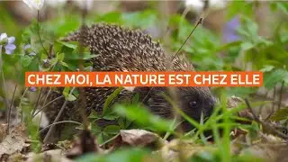 Refuges LPO : chez moi la nature est chez elle.