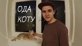 Ода коту - Андрей Лирико