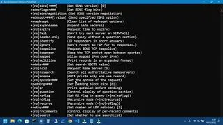 How to Download and Install Dig Command Line on Windows 11 with Chocolatey package manager