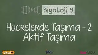 Hücrelerde Taşıma 2: Aktif Taşıma