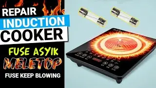 DIAGNOSE & REPAIR INDUCTION COOKER. FUSE KEEP BLOWING #diy #fixitup