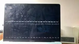 Man Screaming CEEDAY has BSOD