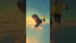 Прогулка 360 с Балу