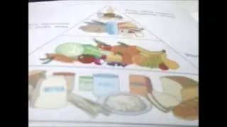 день из жизни микроскоп