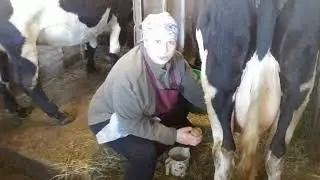 Шустрый Шустрик И неугомонный Петруха