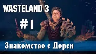 Wasteland 3: часть 1 - Знакомство с Дорси (прохождение)