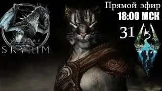 Каджит-колдун. Солстейм и Темное братство ♦ The Elder Scrolls V: Skyrim ♦ Стрим ♦ 31