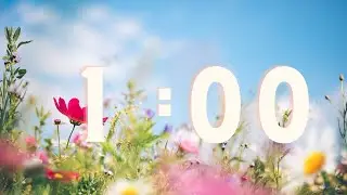One Minute Spring Timer with Relaxing Music