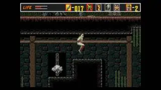 Revenge of Shinobi (GEN)