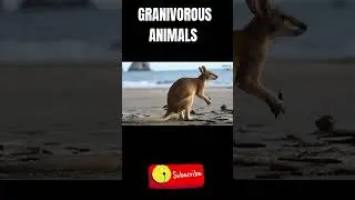 GRANIVOROUS ANIMALS Names and Sounds 