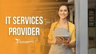 Hummingbird Networks - IT Services Company in Los Angeles and Ventura County