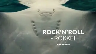 Lav noget larm for Rock'n'roll-rokken! 🤘