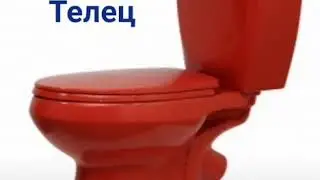 Какой ты унитаз по знаку зодиака?