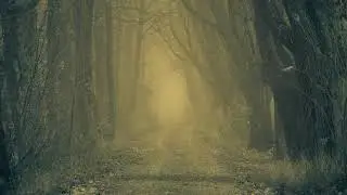 the one who is wandering.