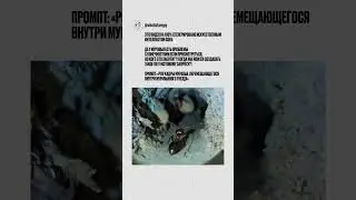 Это видео На 100% сгенерировано искусственным интеллектом Sora