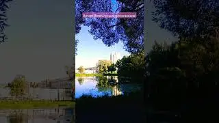 Вещаем из Сосновки