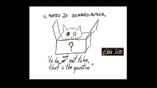 #quantum 7 Schrodinger's cat: the real meaning of this quantum mechanics paradox