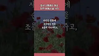잠시 스트레스 해소, 자연 속에서 숨 쉬기 #힐링음악 #편안한음악 #도파민디톡스