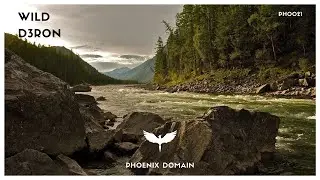 D3ron - Wild (Original Mix)