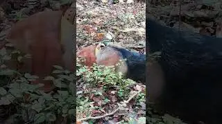Опять костёр!