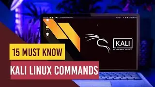 Kali linux basic for beginners | Kali linux Basic Codes And Commands | 2020.1
