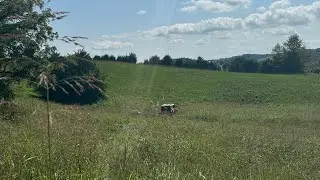 UPDATES: Mountain, Buffalo Creek, Emory Woods, Paducah, Nevada, Modular Certification, Coming 2025!