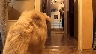 Сосисочное испытание характера))