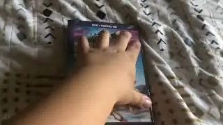 My Ice Age DVD Collection