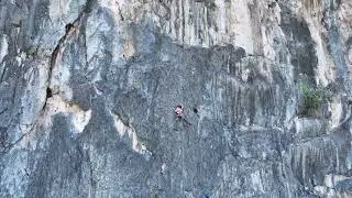 Wall of Dragons