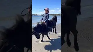 Funny crazy pony 😂 LOVE HIM❤️ #shortsvideo #pony #horse #funny