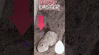 #easteregg