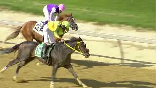 TIMONIUM 08 24 2024 RACE 9