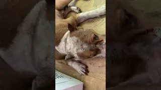 Кто не заступиться за своего братана который за тебя отдает  жизнь и рвет жопу блять