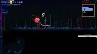 Terraria ARENA со зрителями