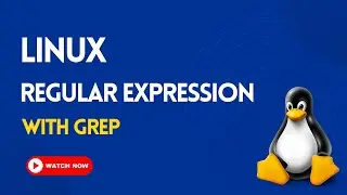 7. Regular Expressions with GREP | LINUX