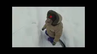 Как бы не было зимы...( яванские макаки Семён и маша)