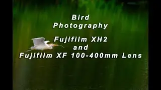 Fujifilm XH2 and Fujifilm 100 400mm lens Bird Photography