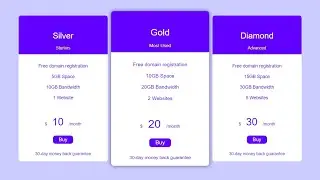 Responsive Pricing Table using html & css