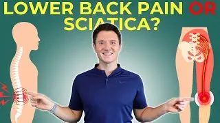 For True Relief First Figure Out If You Have True Sciatica or Lower Back Pain in 4 Minutes!