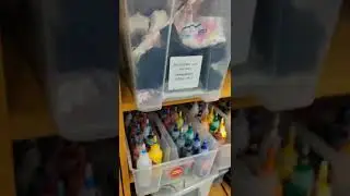 Реставрация кожи. Колористика LeTech.