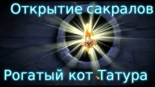Открытие сакралов. Слияние рогатого кота.