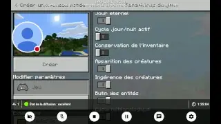 Ma diffusion Minecraft