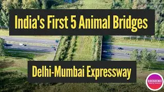 India's First Five Animal Bridges | 8 lane greenfield Delhi Mumbai Longest Expressway
