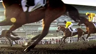 Meydan Racecourse, Dubai